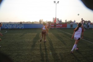 ysm_lal16_d2-0408